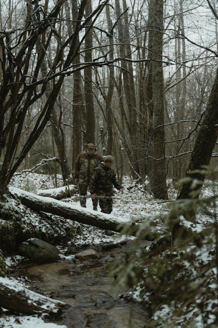 Top Streaming Platforms Offering Military Benefits