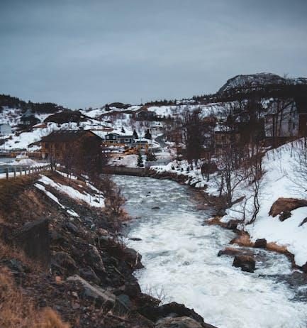 Best holiday season streaming deals for premium content Best holiday season streaming deals for premium content