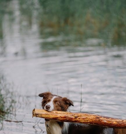 How to Set Up Your Streaming Stick for Buffer-Free Viewing How to Set Up Your Streaming Stick for Buffer-Free Viewing