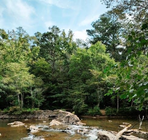 Best Nature Documentaries to Connect with the Wild Best Nature Documentaries to Connect with the Wild