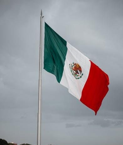 Best Streaming Services for Foreign Language TV Shows Best Streaming Services for Foreign Language TV Shows