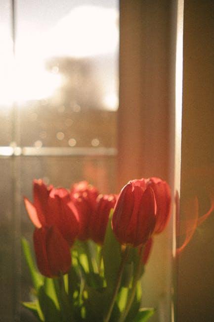 Explore Curated Shopping Experiences and Discounts