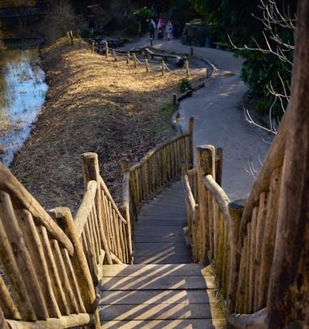 Is Early Access to Streaming Shows Hurting the Viewing Experience Is Early Access to Streaming Shows Hurting the Viewing Experience