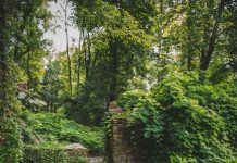 Is There a Significant Difference Between Streaming in HD and 4K Is There a Significant Difference Between Streaming in HD and 4K