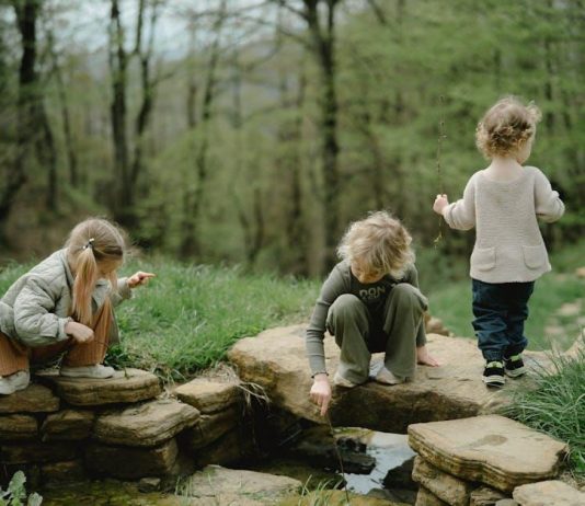 Are Streaming Sticks Overshadowing Other Media Devices Are Streaming Sticks Overshadowing Other Media Devices