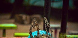 Are Fantasy Shows and Movies Becoming Too Similar Are Fantasy Shows and Movies Becoming Too Similar