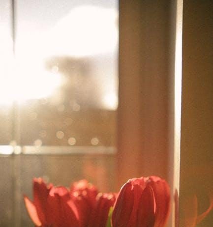 Are Streaming Promotions Actually Costing You More in the Long Term Are Streaming Promotions Actually Costing You More in the Long Term