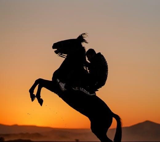 Are Free Trials on Streaming Platforms Disappearing Too Quickly Are Free Trials on Streaming Platforms Disappearing Too Quickly