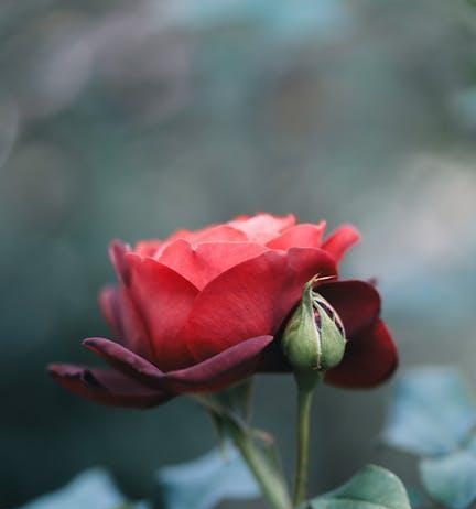 Best romantic comedies to watch with a partner Best romantic comedies to watch with a partner