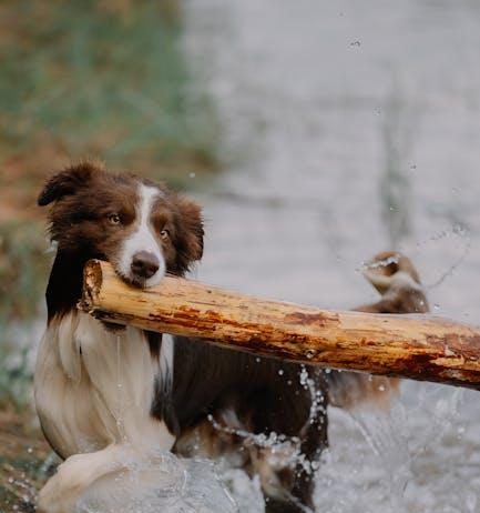 How to set up a streaming stick on an older TV How to set up a streaming stick on an older TV