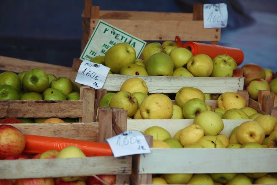 Pricing Structures‌ and Subscription Options
