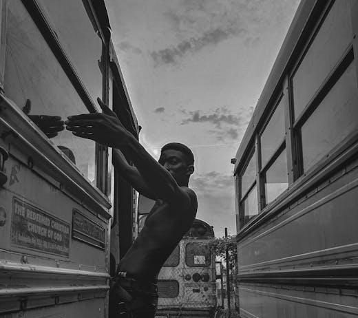 Top Platforms for Documentary Series and Reality TV Lovers Top Platforms for Documentary Series and Reality TV Lovers