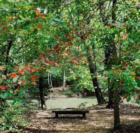 Recommendations for the best nature documentaries Recommendations for the best nature documentaries