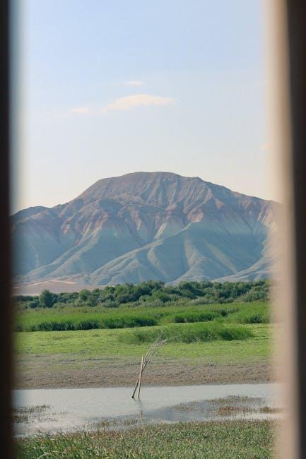 Comparing Streaming Sticks with Traditional Media Devices