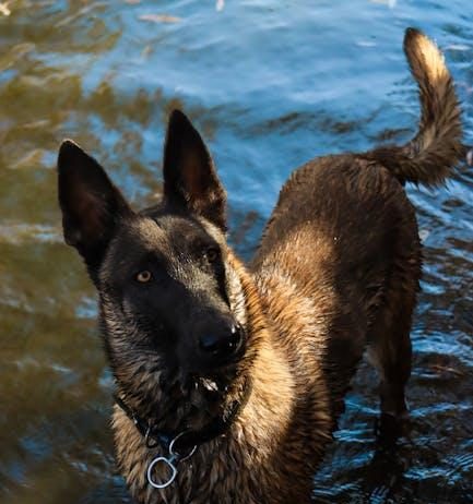 Are Streaming Membership Loyalty Programs Benefiting Users Are Streaming Membership Loyalty Programs Benefiting Users