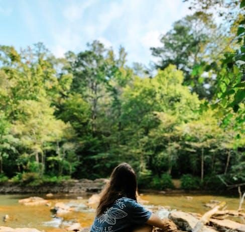 Best nature documentaries for animal lovers Best nature documentaries for animal lovers