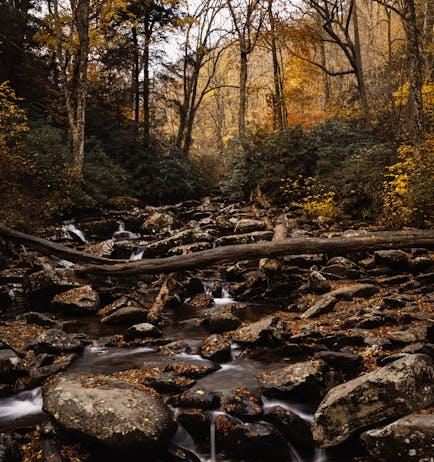 Is 4K Streaming Really Worth the Upgrade Is 4K Streaming Really Worth the Upgrade