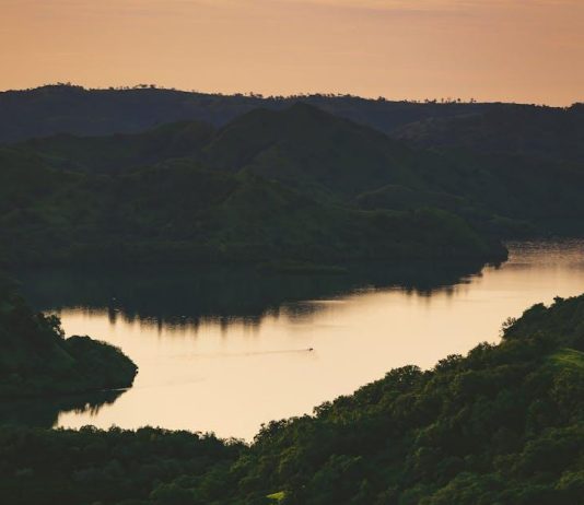 Is Hulu’s Content Strategy Too Confusing for Viewers Is Hulu’s Content Strategy Too Confusing for Viewers