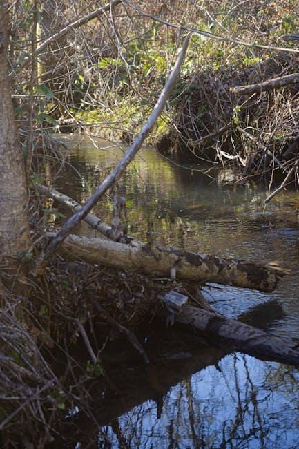 Evaluating the Performance and Features of Leading Streaming Sticks